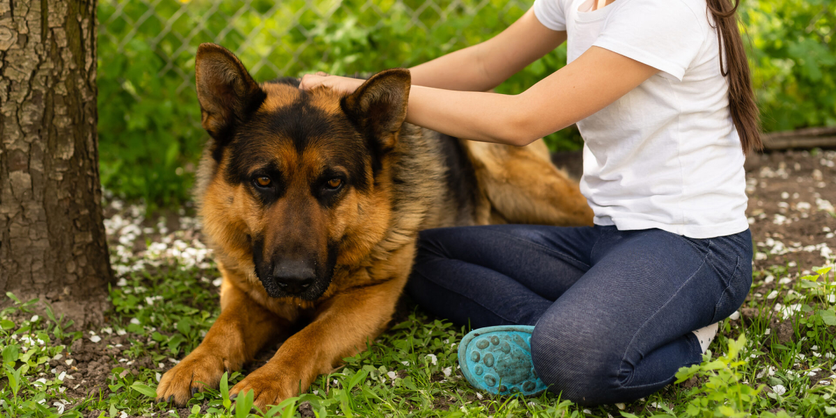 Volunteer sitting outdoors with a German Shepherd